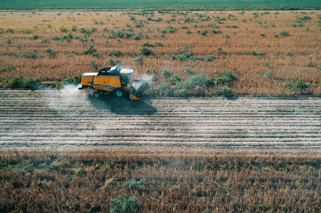 Soya verimi ve fiyatıyla çiftçiyi sevindirdi